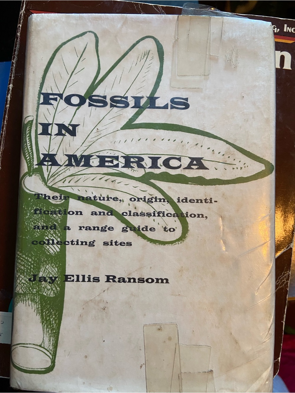 Vintage 60s 1960s 1st ed Fossil book FOSSILS AMERICA seashell BOTANICAL dinosaur